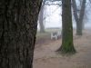 2006_Plock 3
